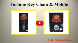 Fortune Key Chain & Mobile