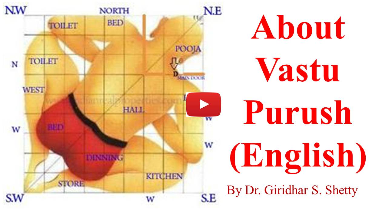 about vastu purush english