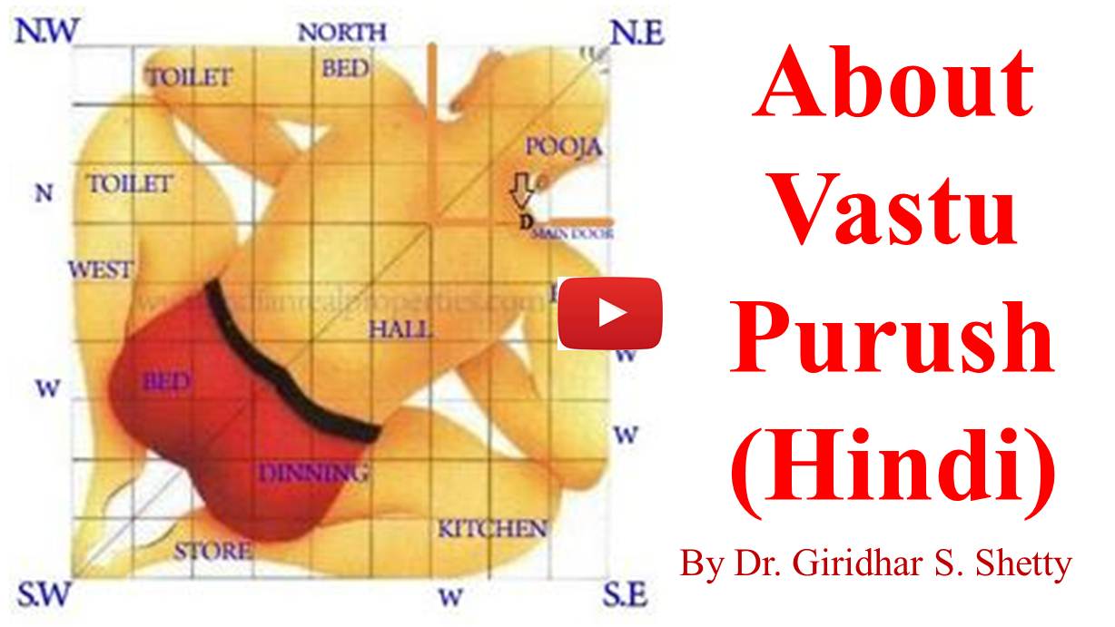 about vastu purush hindi