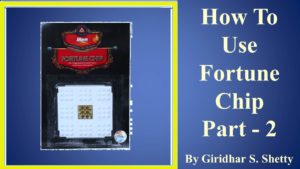 How To Use Fortune Chip Part - 2